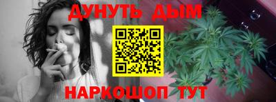 ГАЛЛЮЦИНОГЕННЫЕ ГРИБЫ Кингисепп