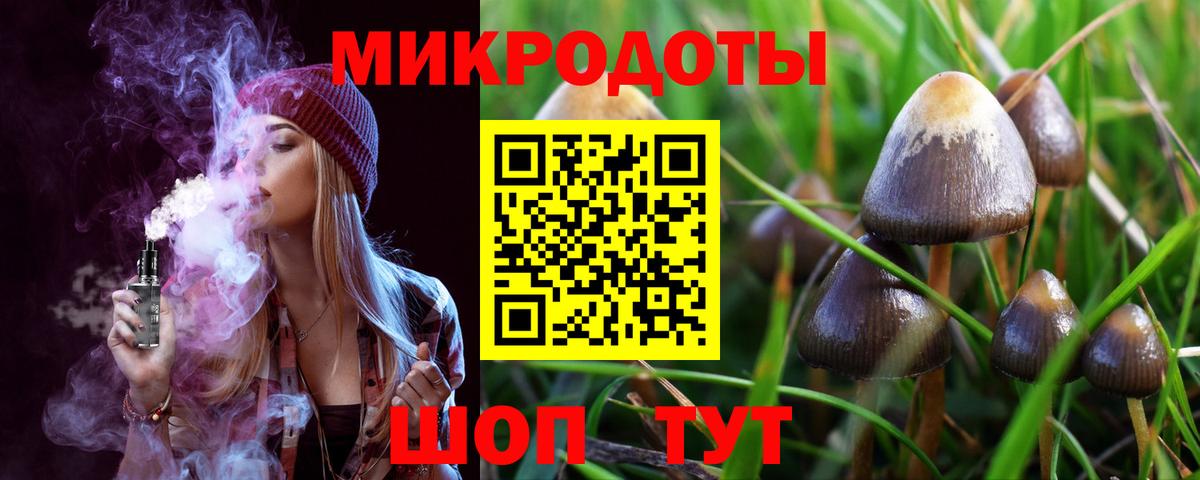 Курчатов  Галлюциногенные грибы мицелий  Галлюциногенные грибы Psilocybine cubensis  Вход с VPN 